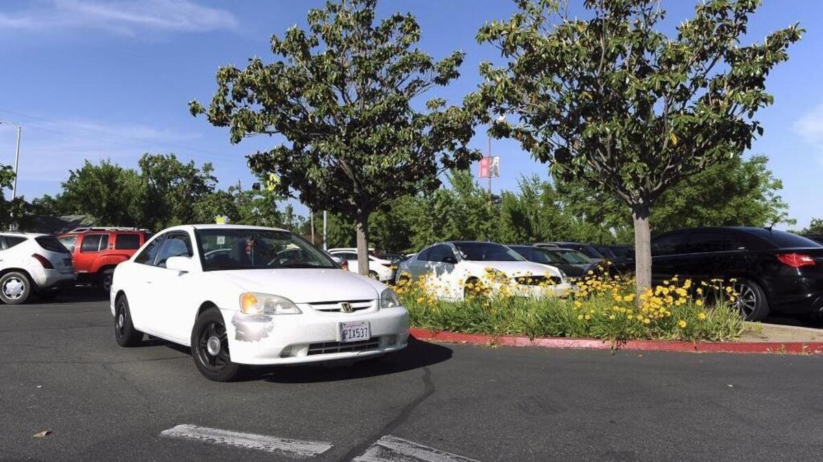 State Center Community College plans to remove 95 trees from the Fresno City College parking lots B, C, and D along McKinley Avenue and more at four other campuses to make way for solar panel installations. Plans also include electric car-charging ports. Construction is planned for late summer.