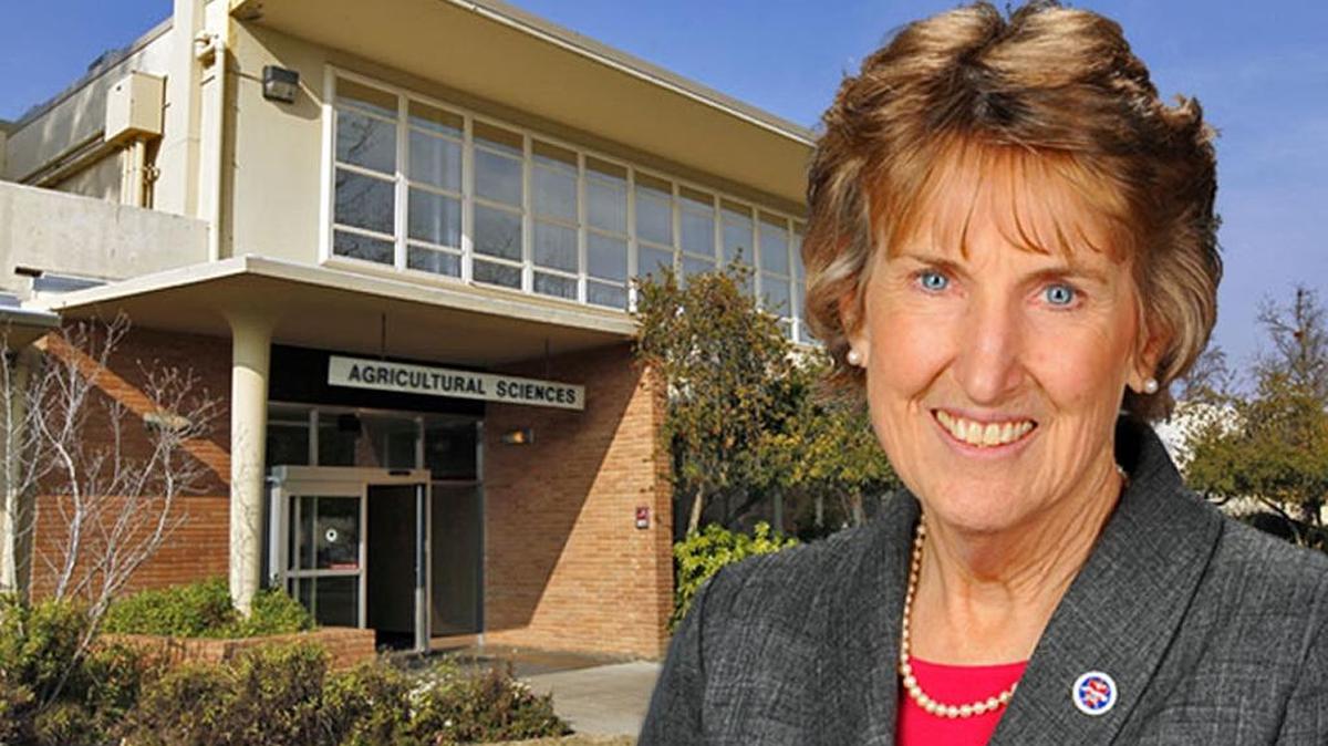 Longtime Fresno State professor Sandra Witte has been named dean of the Jordan College of Agricultural Sciences and Technology.