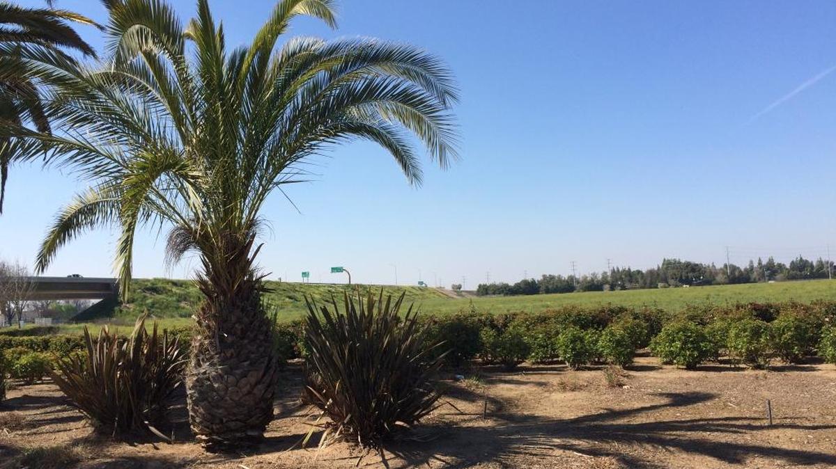 The Fancher Creek Business Park may be the future site of a Fresno County Sheriff’s substation.