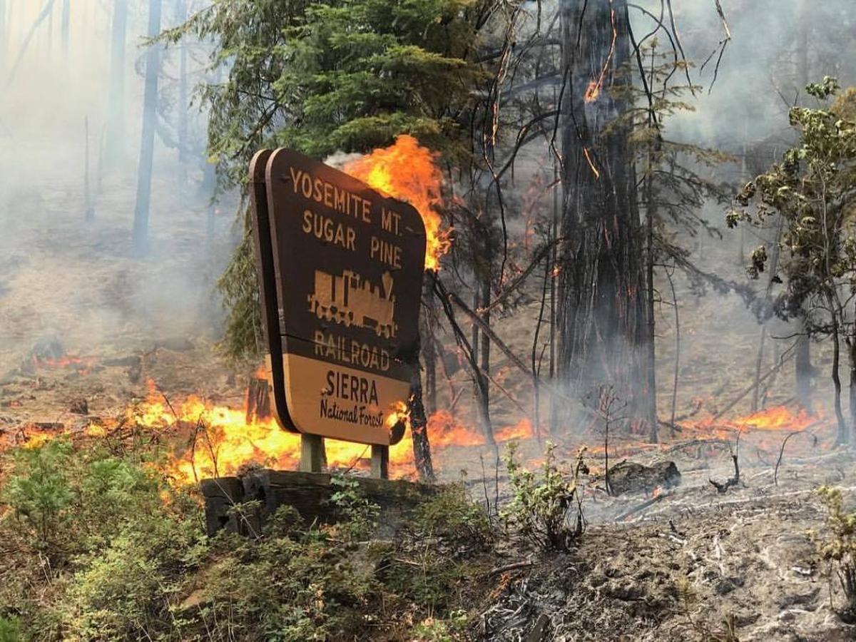 A photo of the Sugar Pine Railroad sign as it burned in Fish Camp Tuesday from the Railroad Fire, sparked by unknown causes that afternoon.