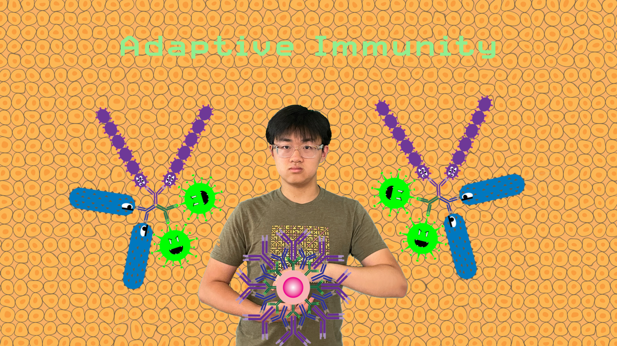 Local teen Isaac Wang placed as one of 30 semifinalists among thousands of students internationally for his video on the immune system.