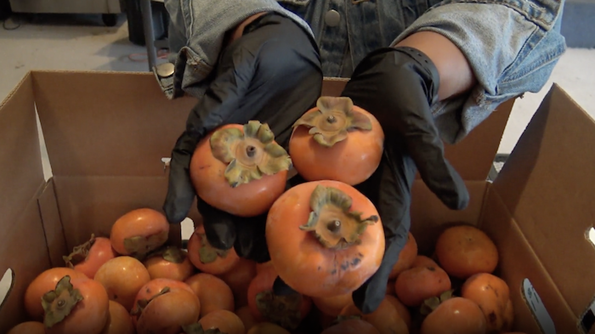 Fresno County residents can expect to see products like jicama, Hmong onions, persimmons, cilantro, spaghetti squash and bok choy in their boxes.