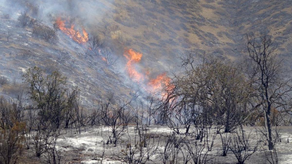 In this August 2016 photo, flames from the Mineral Fire whip in the wind on a hillside near Mineral Springs Road off of Highway 198 outside of Coalinga. Cal Fire says it plans a prescribed burn for Tuesday, Oct. 25, 2016 east of where the Mineral Fire burned.