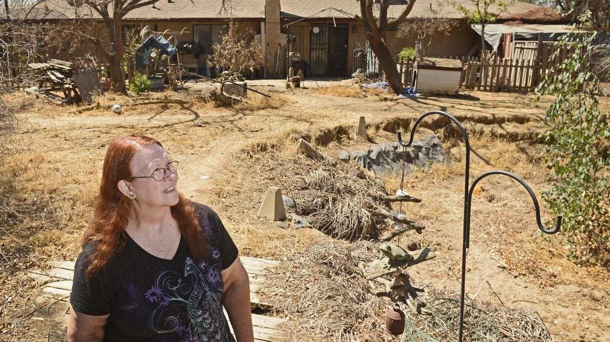 Sheryl Haflich stands in the yard of her Madera home where the lawn and trees dried up and died after her well went dry in this photo from 2014. Her home was in the path of a planned overpass for high-speed rail, which prevented them from selling their home until the rail authority was able to purchase it. The family has since relocated to Merced..