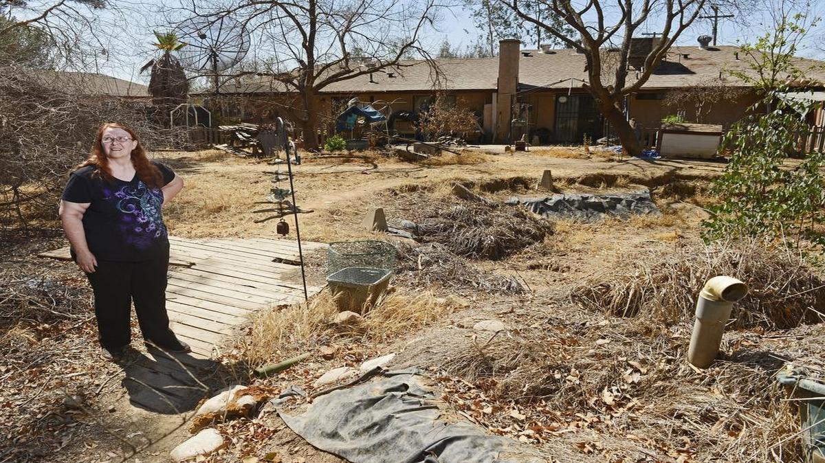 
Sheryl Haflich of Madera stands in her yard where the lawn and trees have dried up and died after her well went dry over a year ago. She and her husband Robert have reached a deal with the High-Speed Rail Authority for purchase of their property.
