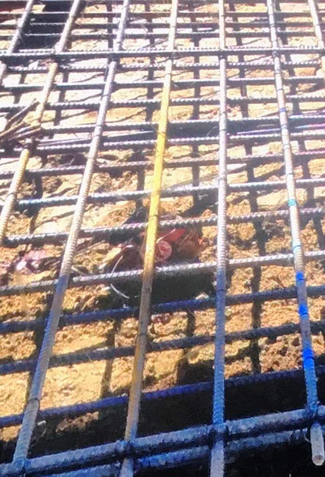 An abandoned hard hat is visible under an iron rebar structure that fell at a high-speed rail construction site along Avenue 7 in Madera County on Tuesday, March 6, 2018. The hat belongs to a man who was seriously hurt when he was pinned under the structure.