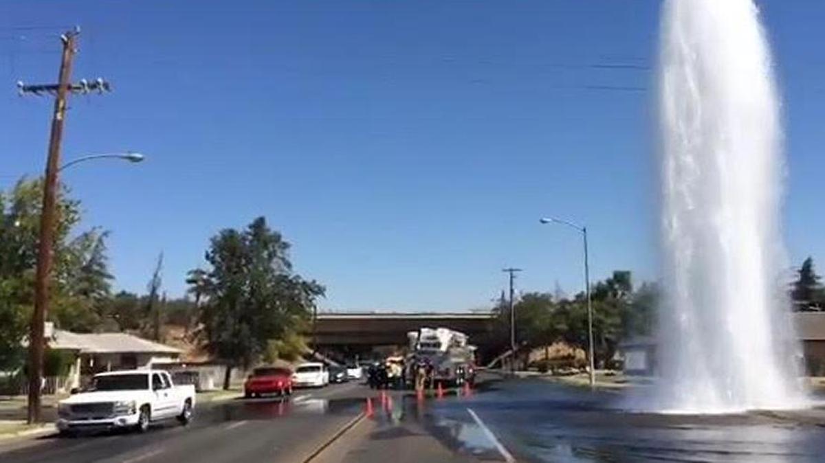 
A single-vehicle crash at the Clinton Avenue-Clark Street intersection caused a fire hydrant to shoot water into the air on Tuesday afternoon.
