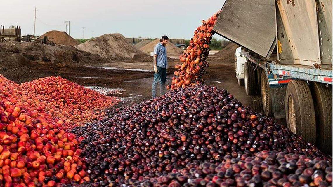 The Ugly Company, based in Kingburg, CA, is a business that sells fruit that may be bruised or damaged, in an effort to keep that food from going to waste.