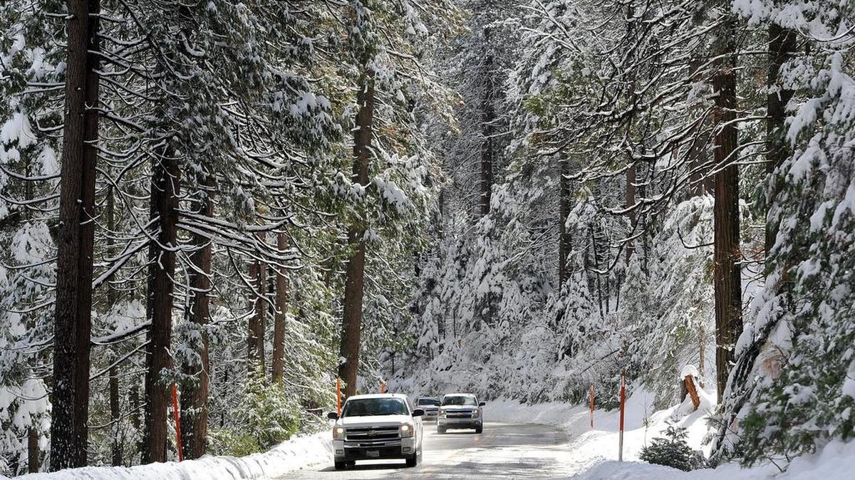 Fresh snow cloaks trees near Fish Camp on Highway 41 on Sunday morning, March 4, 2018.