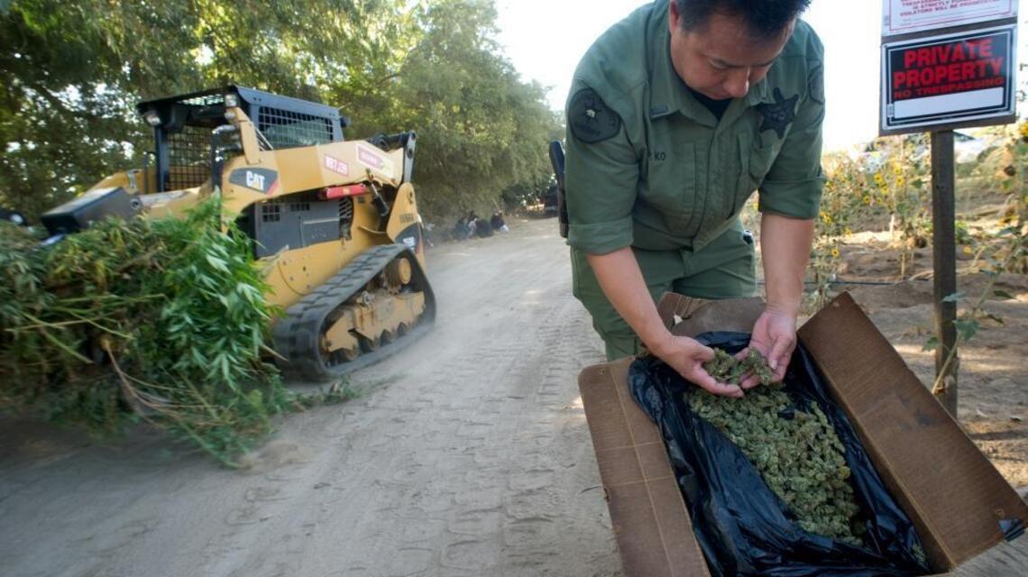 Is Fresno ready for recreational pot?