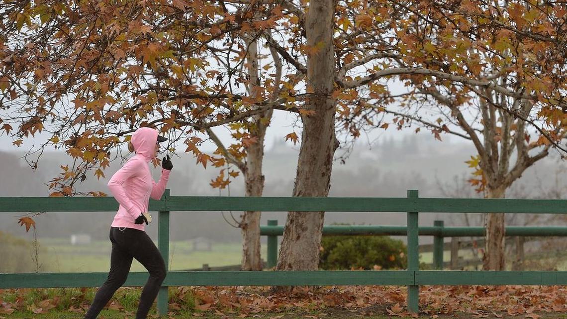 Woodward Park might be a popular attraction in Fresno. But overall, Fresno lacks enough parks and amenities compared to many other cities in the nation, according to the Trust for Public Land’s 6th annual ParkScore@ index.