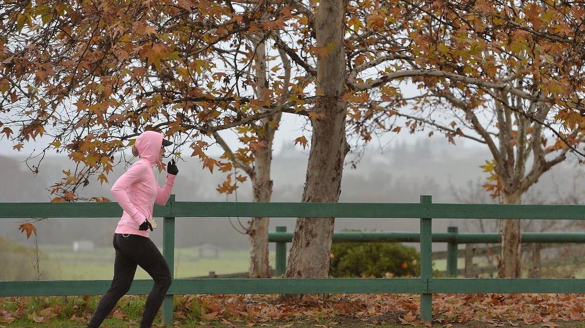 Woodward Park might be a popular attraction in Fresno. But overall, Fresno lacks enough parks and amenities compared to many other cities in the nation, according to the Trust for Public Land’s 6th annual ParkScore@ index.
