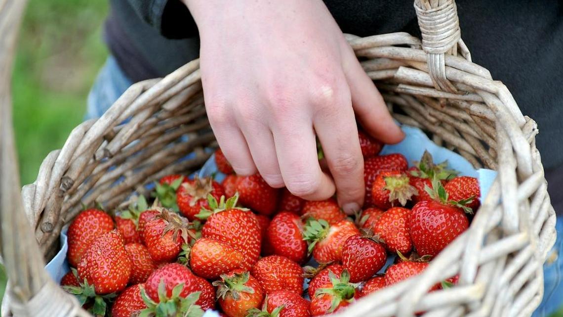 A voluntary national recall of frozen Egyptian strawberries has been issued due to the possibility of hepatitis A virus contamination. Two businesses in Tulare County in California are affected, and 75 in Fresno County.
