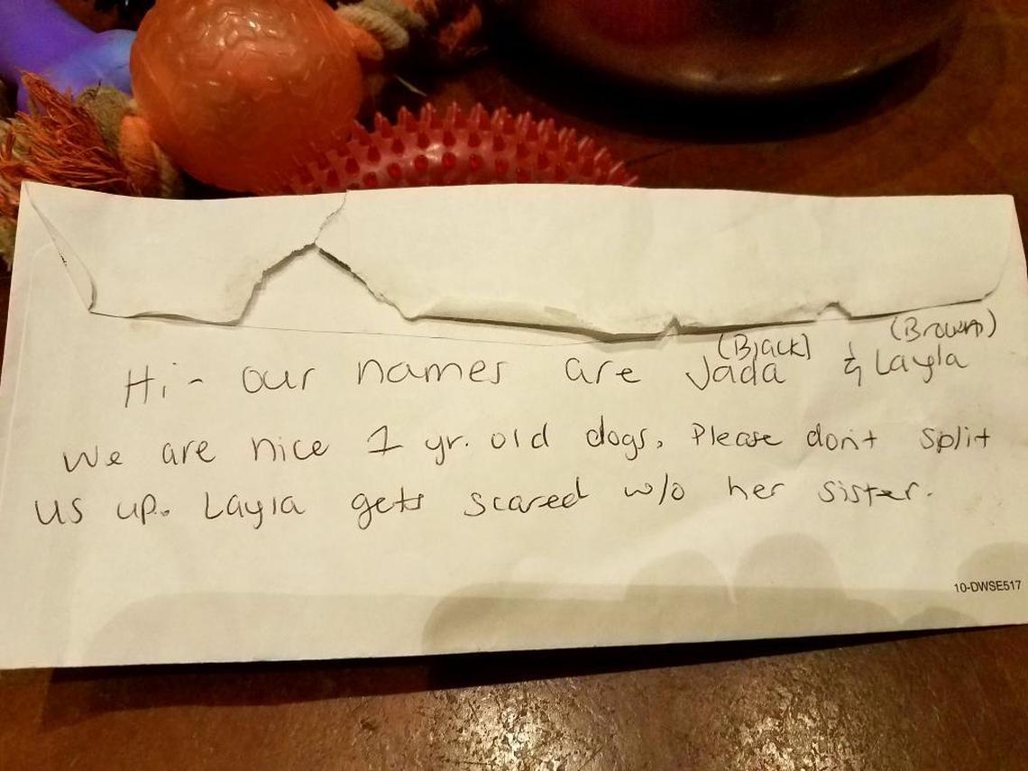 This is the note left by the owner of two huskies that were left at a dog park in Woodward Park.