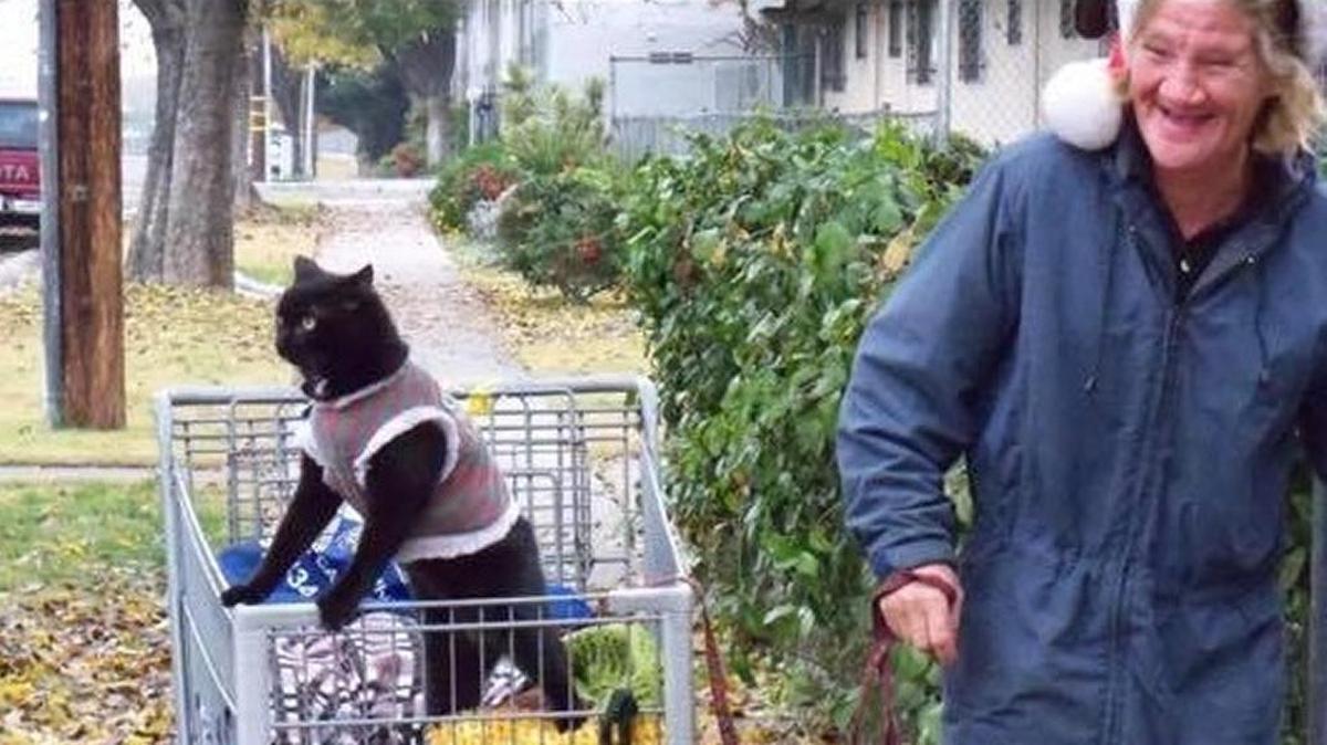 Cheryl Ann Raffeo frequented the intersection of Blackston and Ashlan avenues in Fresno with her cat “Tiny” for years. Detectives are investigating her death after her body was found on the side of a Tollhouse road last month.