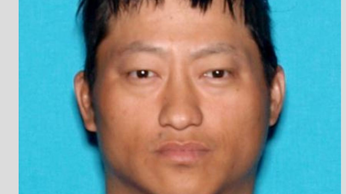 Dao Yang