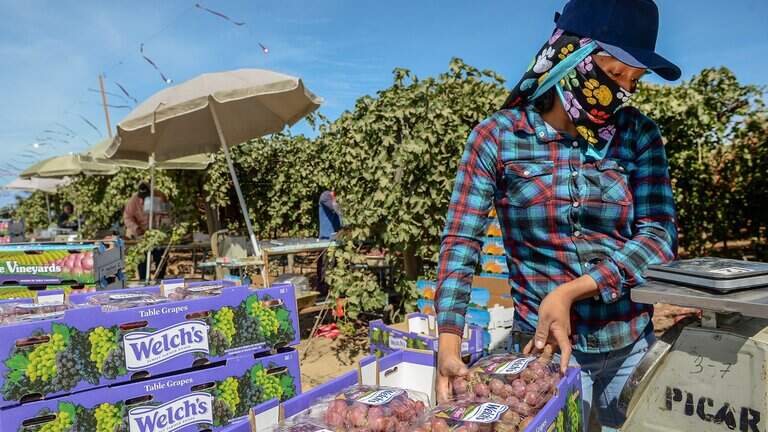 Health officials on lookout for measles in farmworkers in Central Valley. What to know