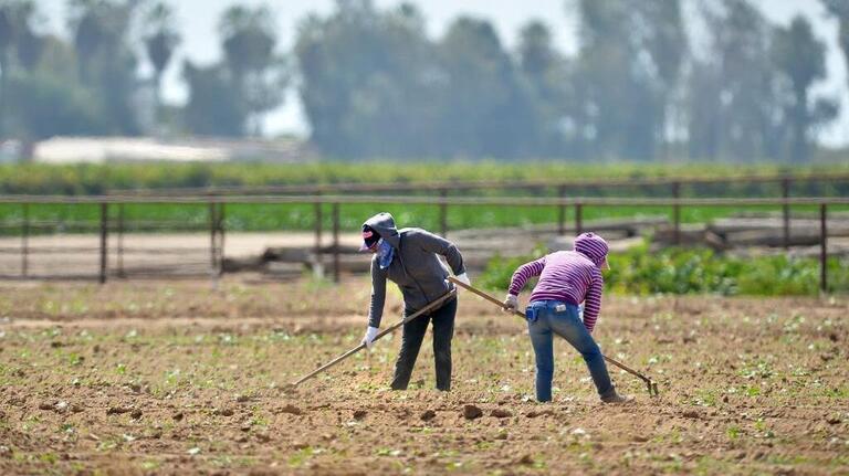Should California’s undocumented workers get unemployment benefits? New bill says ‘yes’