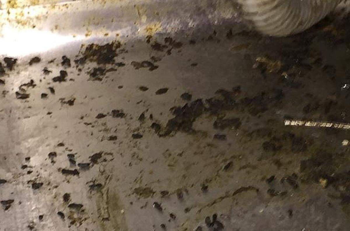 Rodent infestations, evidenced in this photo by rodent droppings and other debris under the grill area of a now-defunct Fresno restaurant, are one cause for immediate closure following inspections by the Fresno County Department of Public Health.