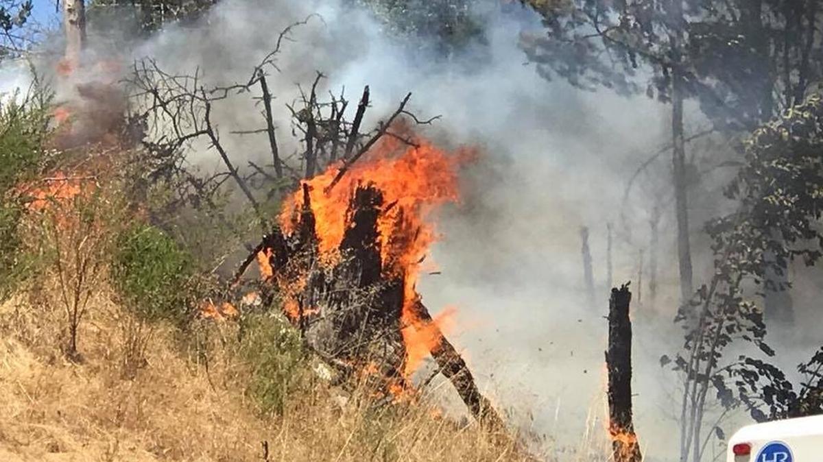 Flames burn brush on a hillside in Cambria’s East Village on Tuesday afternoon.