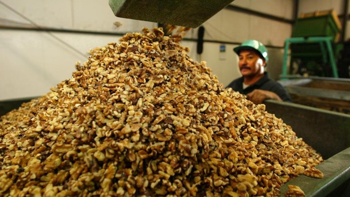 Walnuts are moved by conveyors through the Poindexter Nut Company. Isidro Gutierrez, right, keeps an eye on clean nuts piling up in a bin. Photo made Tuesday, September 7, 2004.