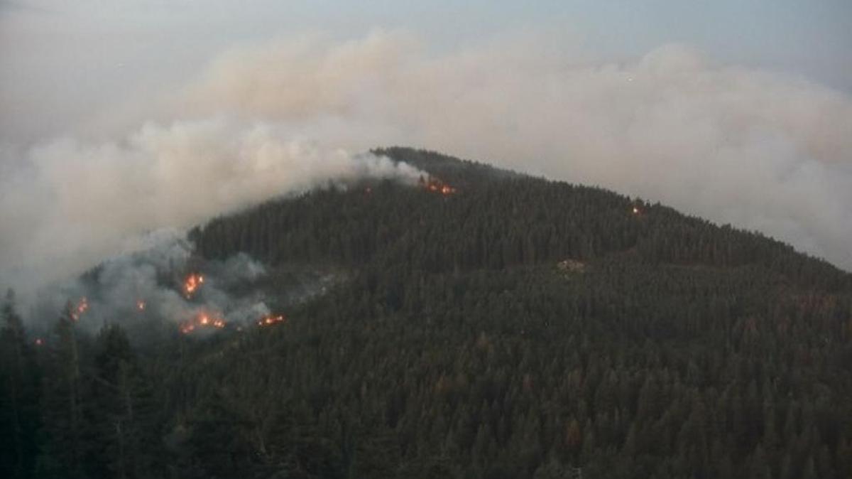 Tobias Peak webcam photo of Cedar Fire on Saturday morning.