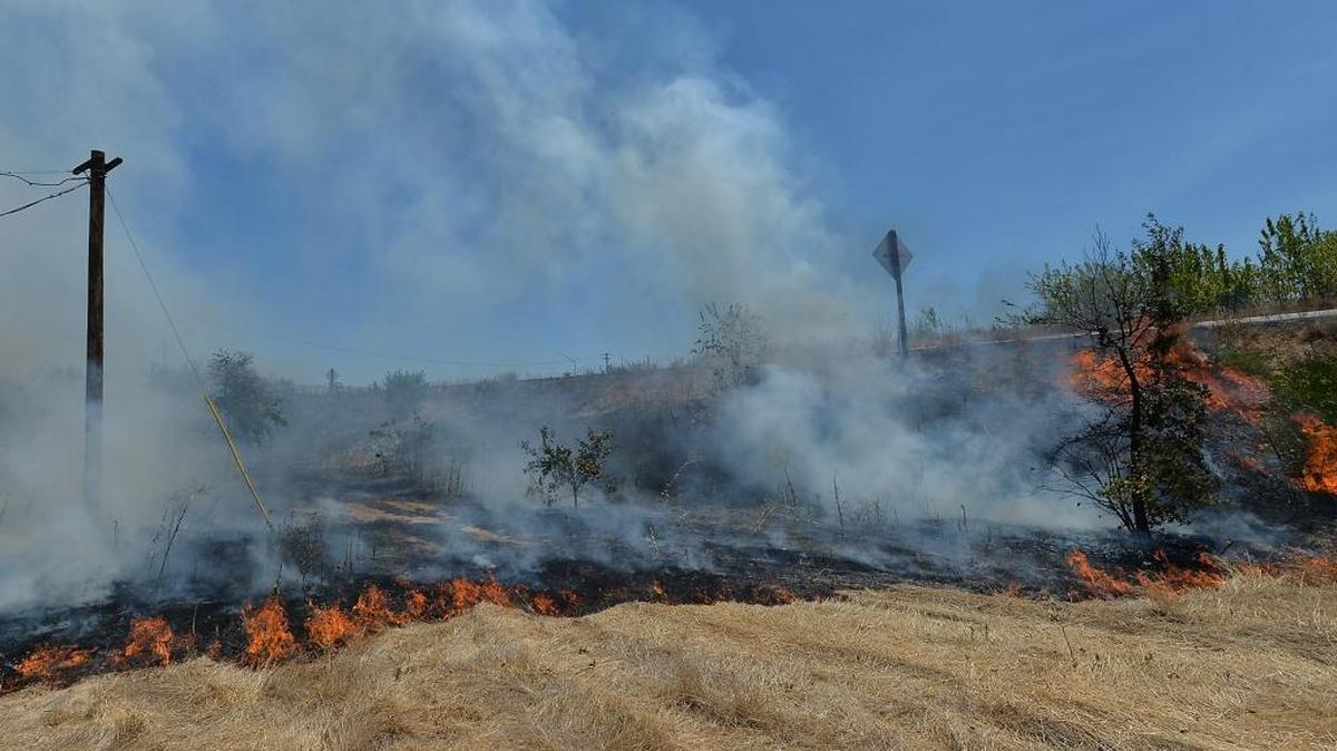 A brush fire burns along Highway 180 near the Chestnut Avenue exit in Fresno on Sunday, July 24. The fire came close to several horses and homes that back up to the highway shoulder.