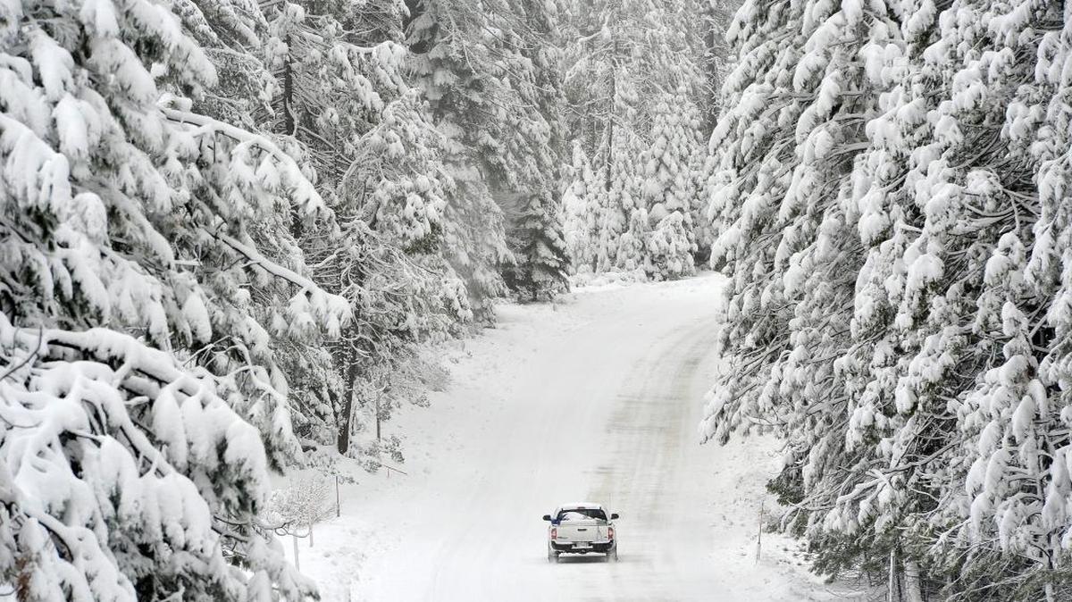 A pickup enters a wintry scene of heavy snow blanketing trees lining Highway 168 at Shaver Lake during last Wednesday’s snow storm.