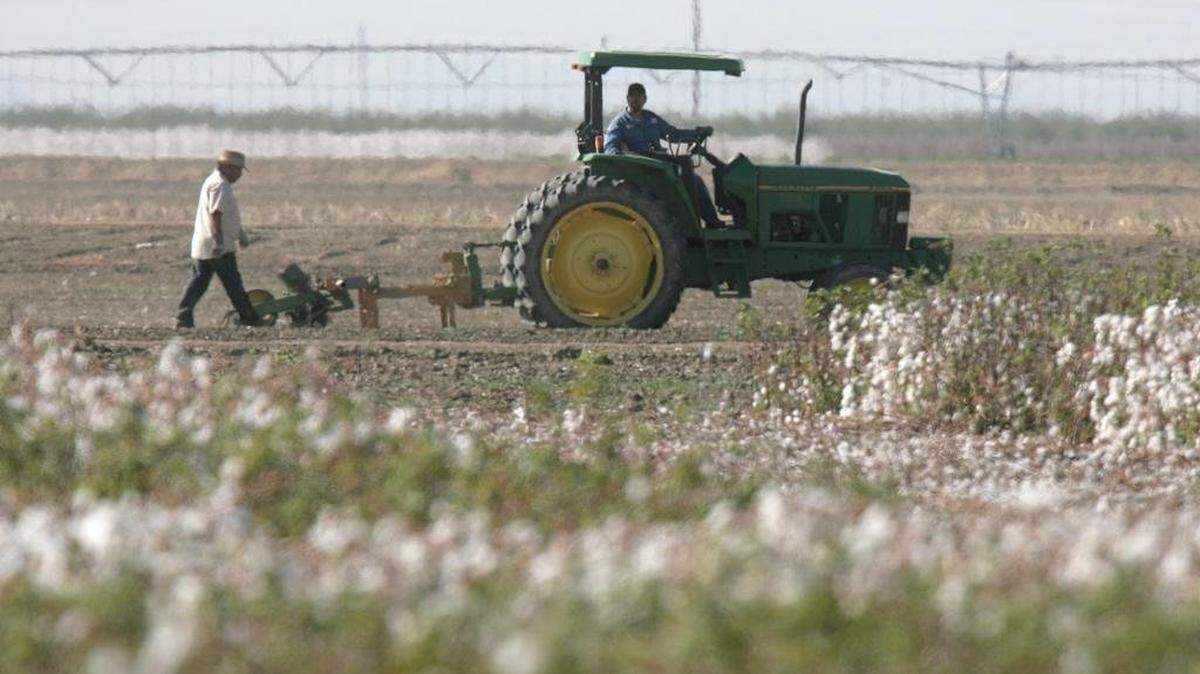 Farmers in the agriculture-rich central San Joaquin Valley are among the top producers in the nation. Westlands Water District provides the key supply of water to those in Fresno and Kings counties.
