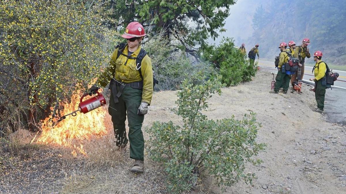 
A firefighter sets back burns, a common tactic against the Rough fire, on Aug. 21.
