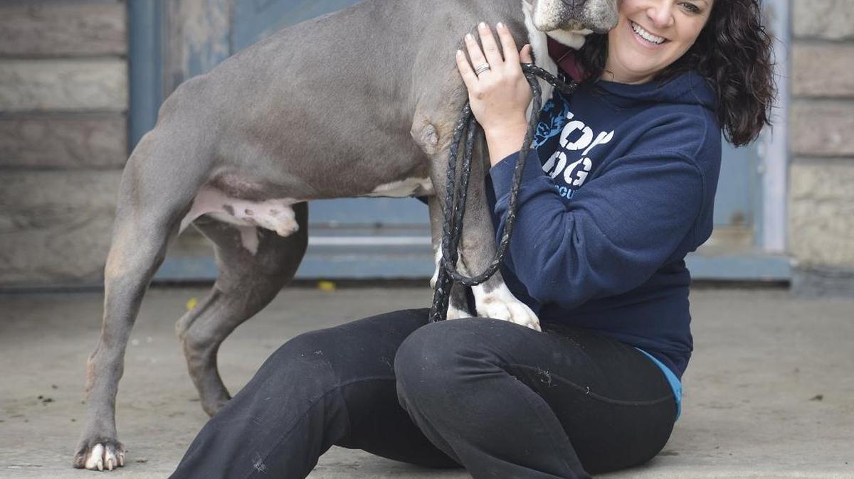 Bridget Boothe, director of Fresno Bully Rescue, says that if the rescue wins the $75,000 prize in the Designer Shoe Warehouse charities “shoe lovers care” grant program for nonprofit organizations, it will use the money to build a new shelter.