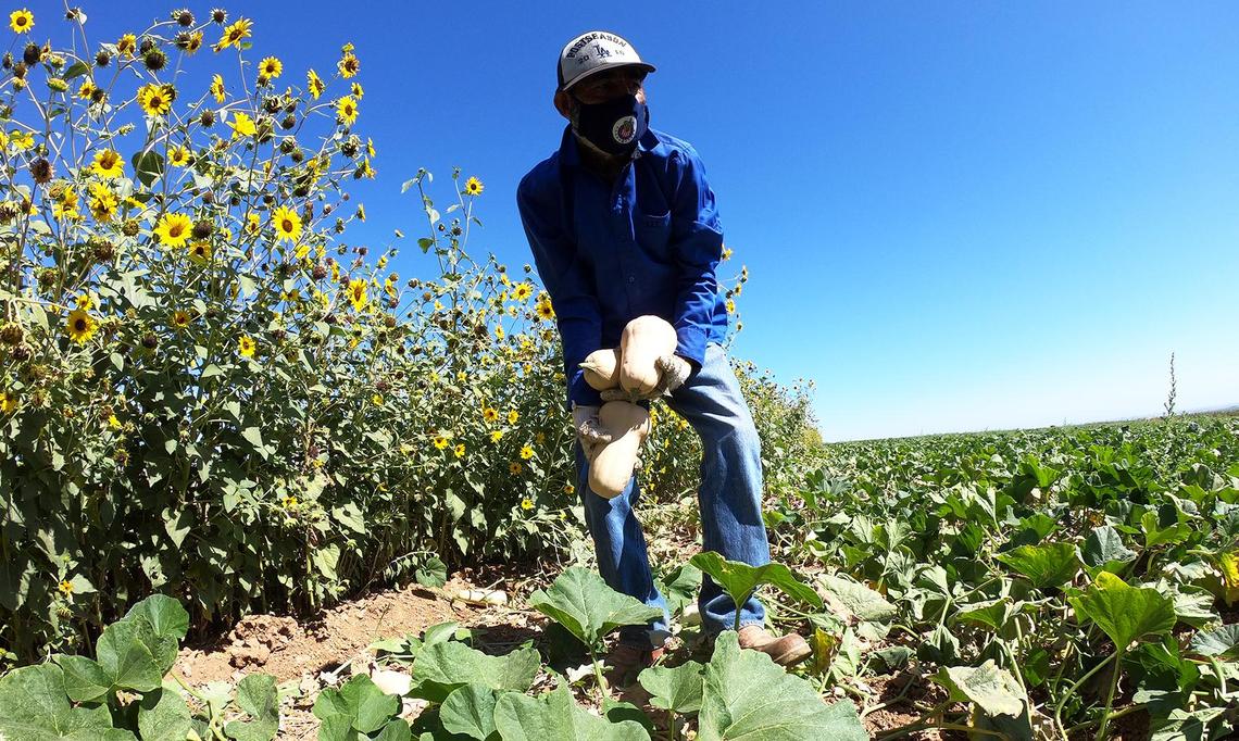 The danger heat illness poses to farmworkers has been a major concern for decades, but increasingly higher temperatures, a deepening drought and a longer fire season due to climate change have worsened outdoor working conditions in recent years. (Bee file photo)