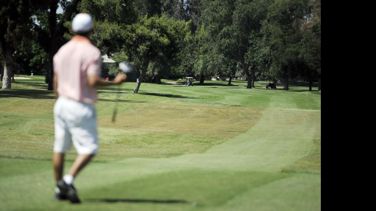 
A golfer at Sunnyside Country Club checks his distance at a hole where certain areas of formerly green grass, center, are being allowed to dry out on the fairway.
