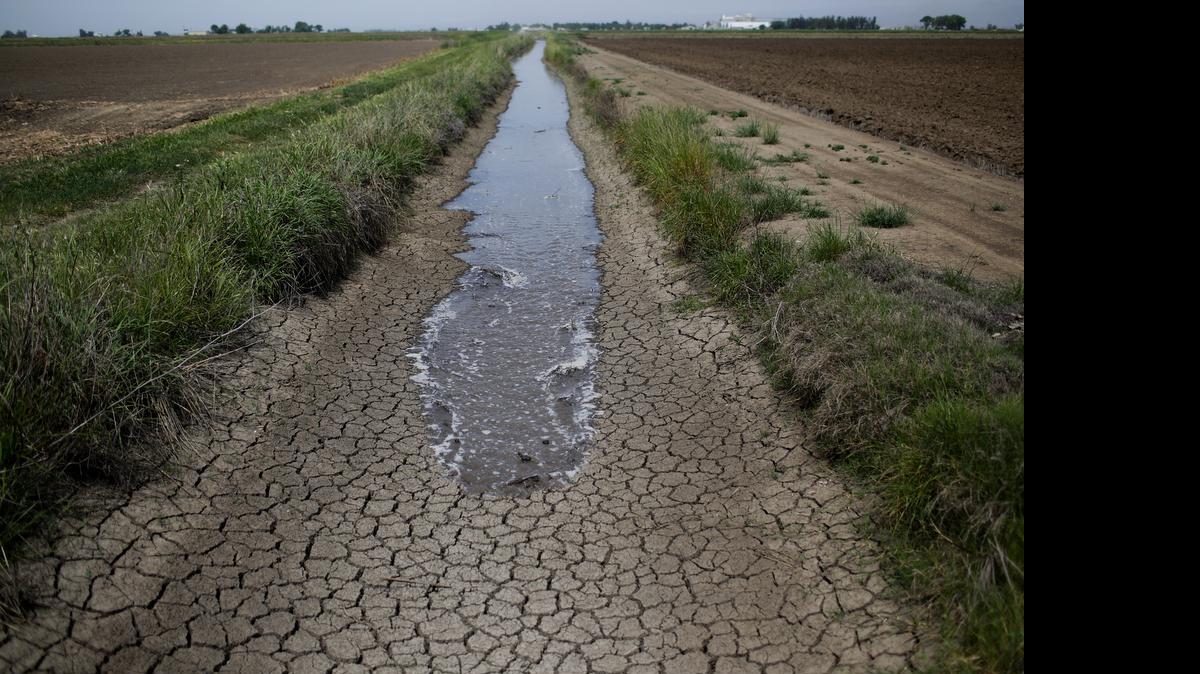 
In a May 2014 photo, irrigation water runs along a dried-up ditch between rice farms to provide water for fields in Richvale.
