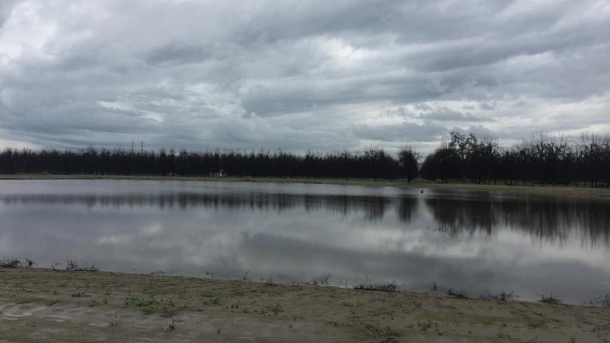 Basins like this one east of Visalia are being filled with water to replenish groundwater supplies.