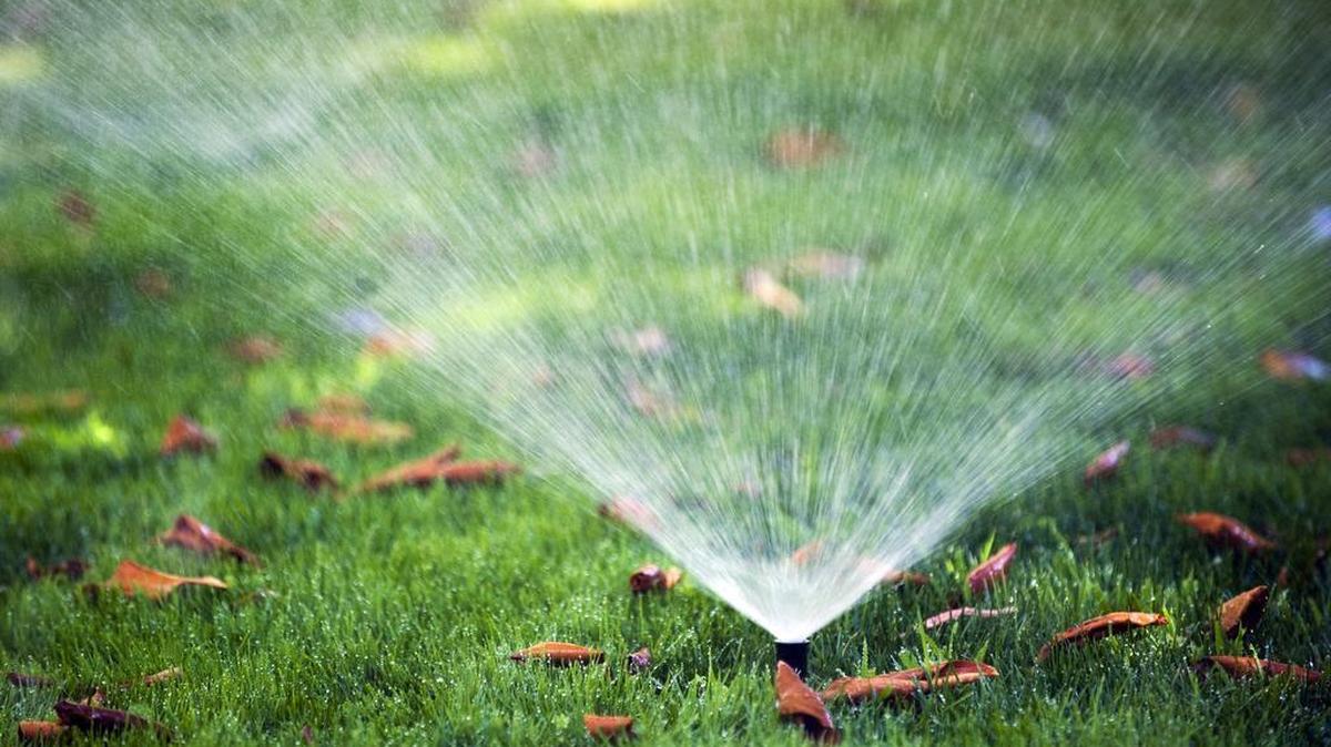 As much as half of the water used in the state’s urban areas is poured on outdoor landscaping, predominantly to keep residential lawns green.