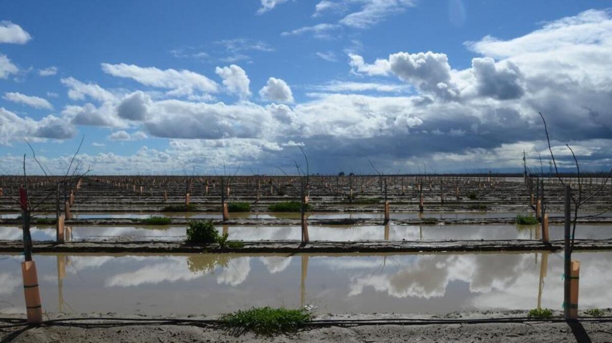 Clouds are reflected in a rain-flooded field at the corner of South James Road and West Whites Bridge Avenue on Feb. 18, 2017, west of Kerman. This winter’s wet weather is being credited in part for lower water use statewide in January.