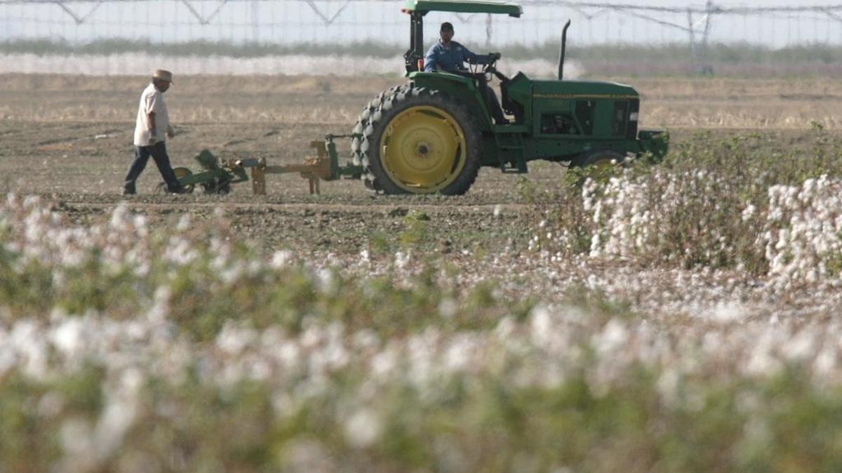 
Work goes on next to a cotton field in the Westlands Water District, near Five Points.
