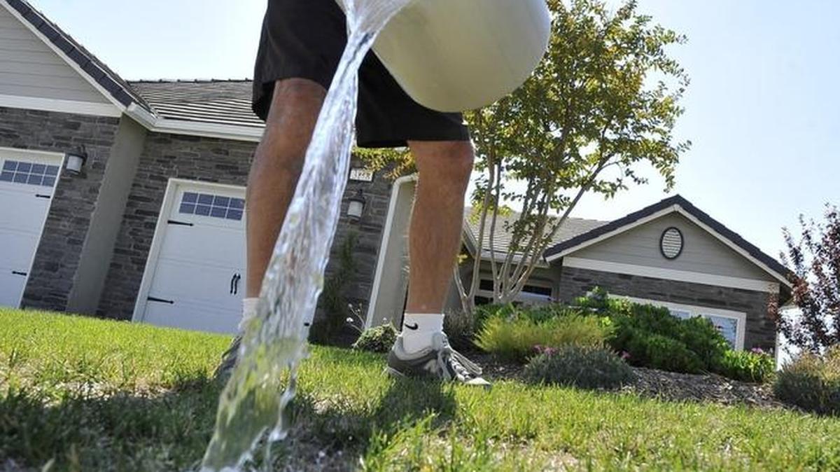 John Guarnera uses pre-shower water to irrigate dry spots in his Clovis home’s lawn.