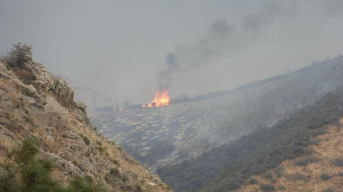 Part of the Cedar Fire as it burns north of Highway 155 near Wofford Heights on Monday.