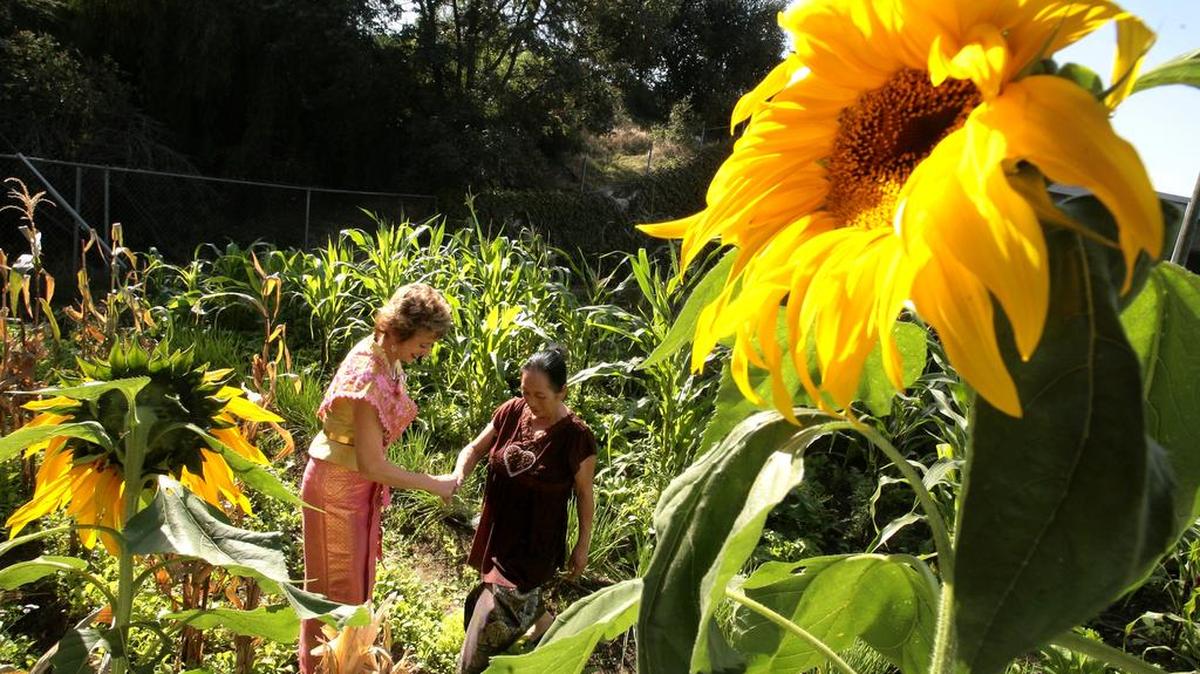 
Rev. Sharon Stanley, left, former executive director of Fresno Interdenominational Refugee Ministries, and Blia Lee, walk through the a therapeutic garden outside the ministries’ office in 2011. Fresno County’s three-year health plan would continue funding for community gardens.
