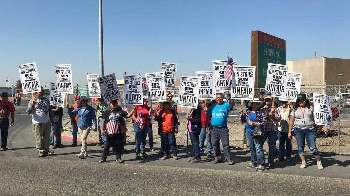 About 250 Sun-Maid workers were striking outside the raisin company’s Kingsburg plant on Tuesday.