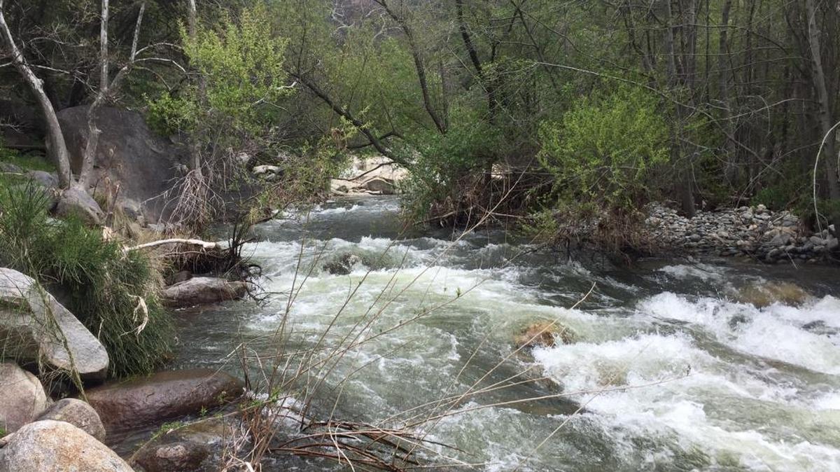 The Tule River is running fast at the Upper Coffee Camp recreation site on Thursday, near where two women fell in.