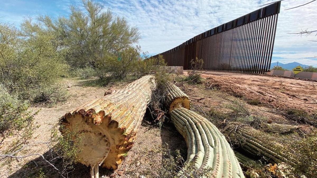 Se muestra las obras de construcción del muro fronterizo cerca del manantial de Quitobaquito en Arizona.