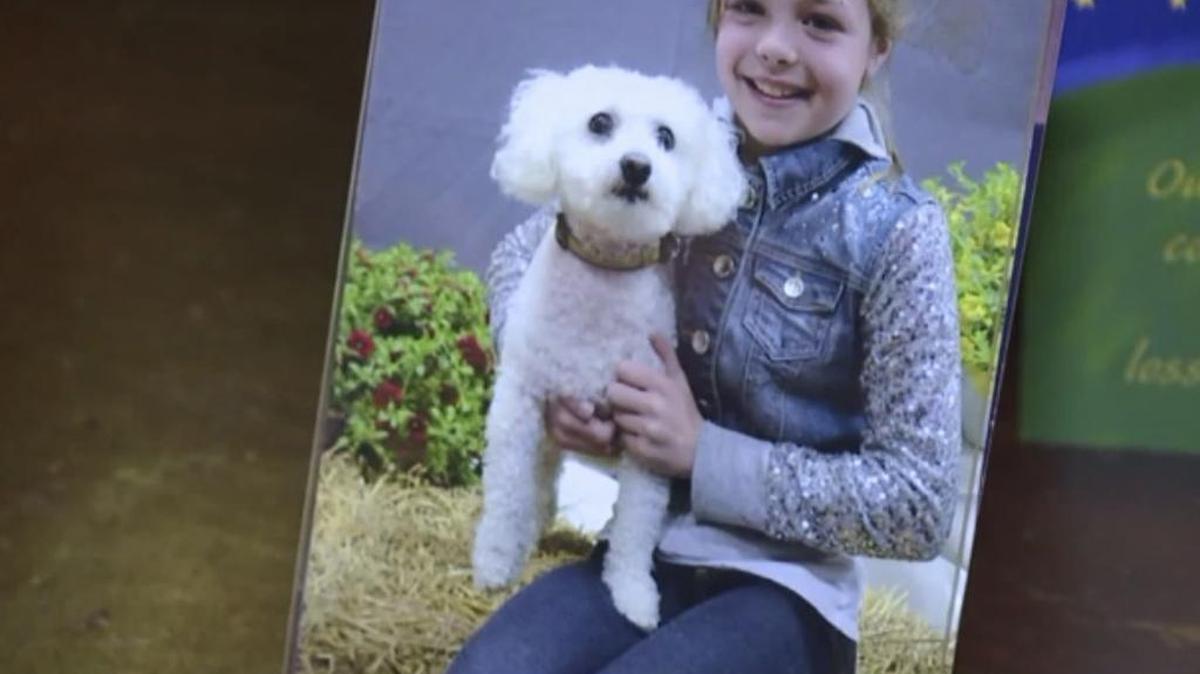 Brewster, a 12-year-old Bichon and a family pet, died after he was attacked by a pit bull while at the grooming salon of a PetSmart in Dickson City, Penn. That’s according to Brewster’s pet owner Betty Miller.