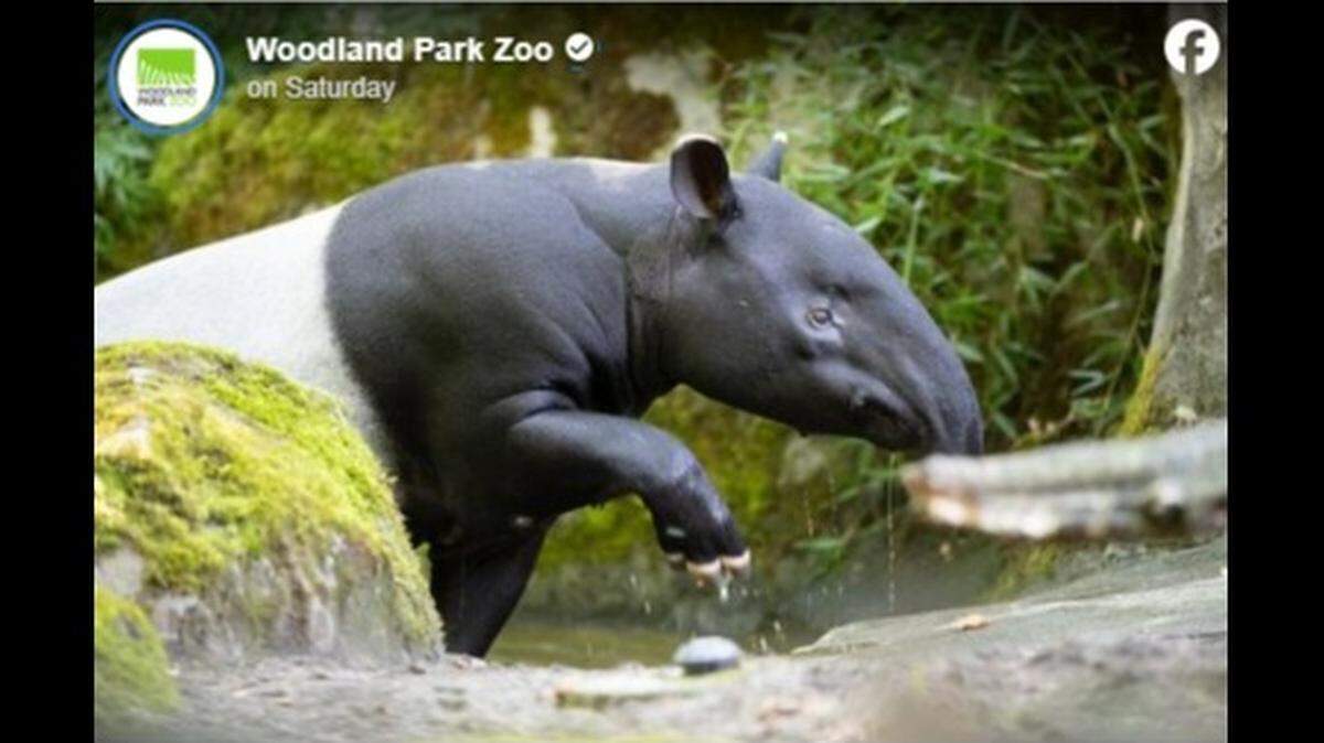 Woodland Park Zoo