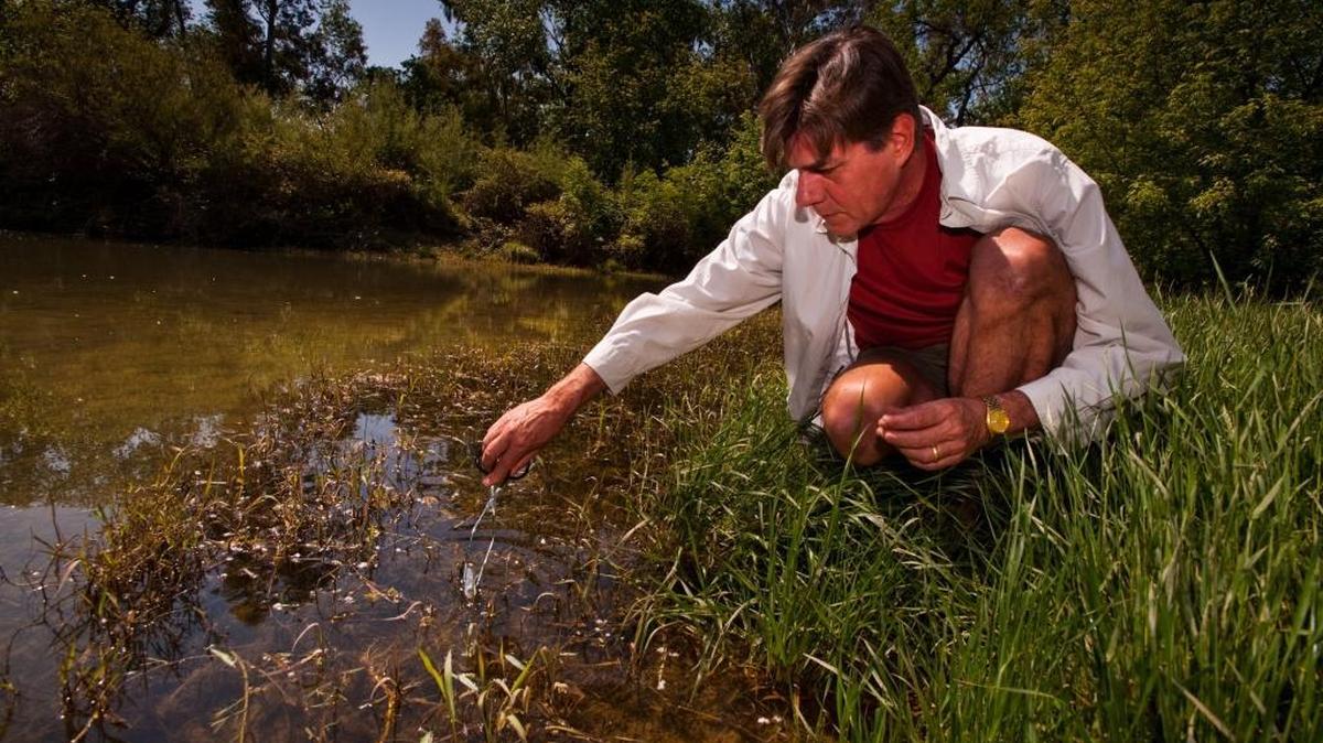 Dr. Robert Derlet collects water samples at Putah Creek near Davis to check for algae and bacteria in this 2010 file photo. On Monday, Derlet, a Democrat, announced he was running for Congress against Rep. Tom McClintock, R-Elk Grove.