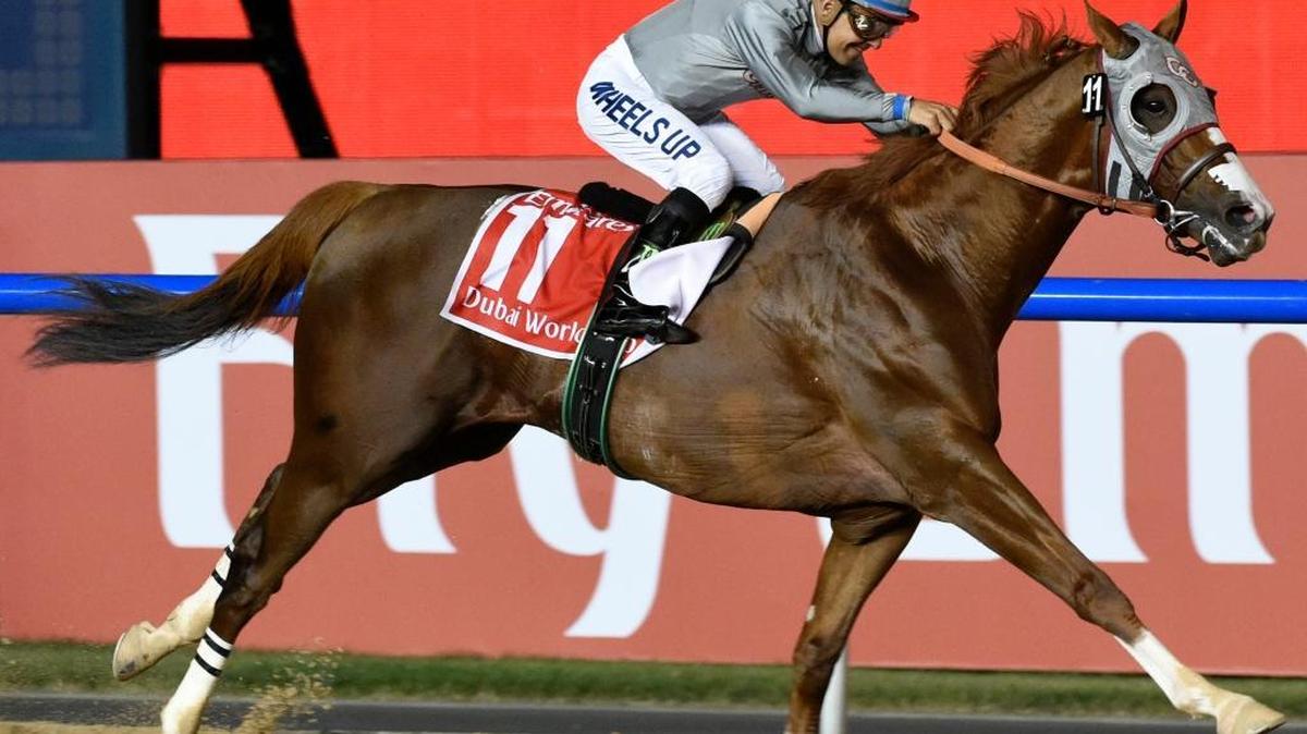 California Chrome, ridden by Victor Espinoza, crosses the finish line to win the Dubai World Cup on March 26.