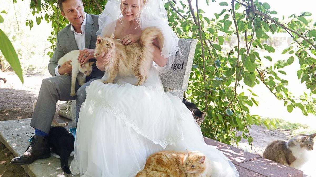 Louise Veronneau, 51, and Dominic Husson, 46, both of Montreal, Canada, sit together with a few cat friends after being married by Lynea Lattanzio, founder of The Cat House on the Kings, on the grounds of the sanctuary in Parlier Tuesday. The couple, both fervent animal lovers, tied the knot in the first-ever wedding ceremony at The Cat House on the Kings, which founder Lattanzio says is becoming more and more a destination many people want to visit.