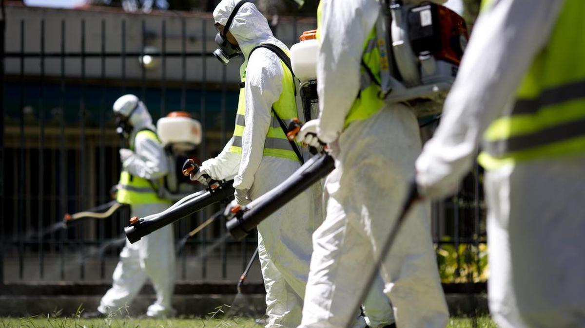 A fumigation brigade sprays an area of Chacabuco Park in Buenos Aires, Argentina, on Jan. 27 in an attempt to control Aedes mosquitoes. The Zika virus is spread by that type of mosquito.
